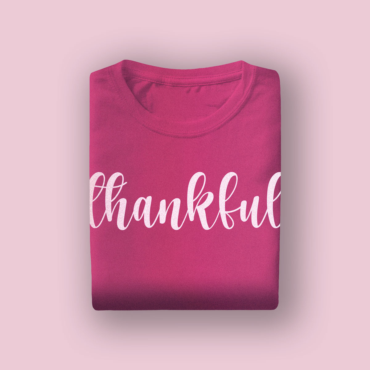 You are currently viewing Flamingo Tshirt
